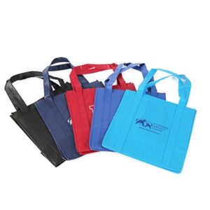 Extended handle bag