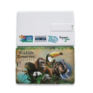 Card drive 01