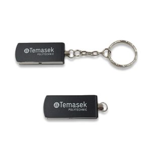 Swivel drive 04