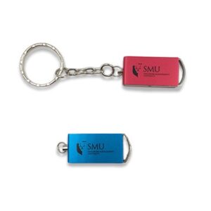 Mini swivel drive 03