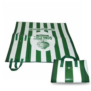 Picnic mat model 4