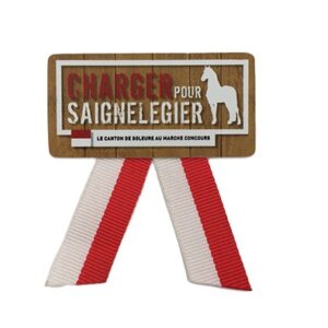Plastic badge