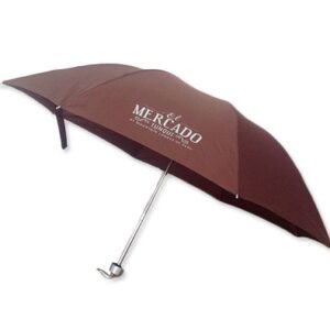 Common foldable umbrella