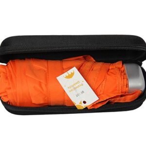Foldable umbrella with box