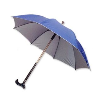 Cane umbrella