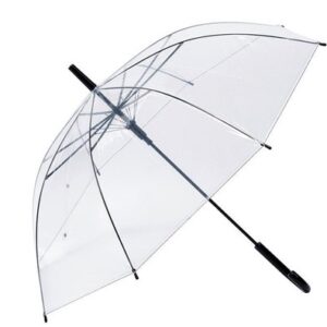Transparent umbrella