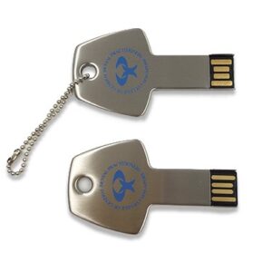 Key drive 04
