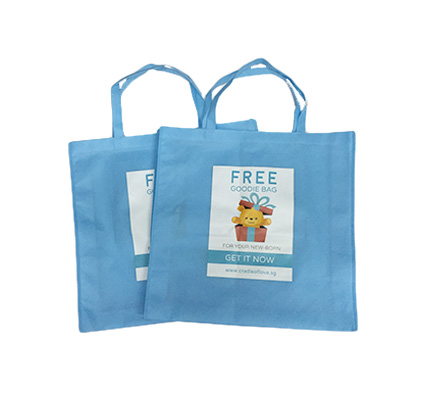 Bag with pocket