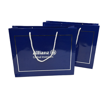 Hot stamping bag