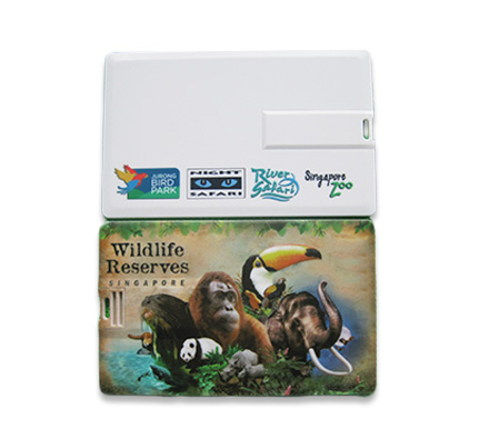 Card drive 01