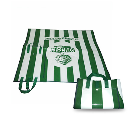 Picnic mat model 4