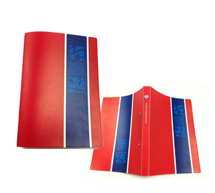 Plastic ring folder